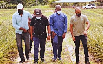 Club Presse GLT: la réponse logistique des coopératives agricoles en réflexion