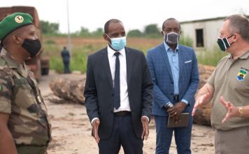 Gabon: Un deuxième pas dans la phase pilote du système de traçabilité du bois gabonais