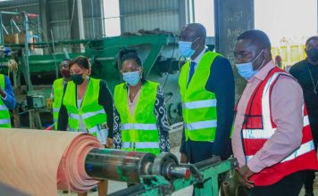 Industrie du bois: partenariat Gabon/Sénégal au menu d’une visite de S.E Mame Oumar Thiaw
