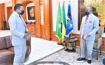 Transgabonaise: le groupe Meridiam fait le point sur l’avancée des travaux à Ali Bongo