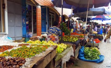 À quelques semaines d’avril : la Centrale d’Achat du Gabon sera-t-elle prête ?