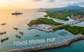 Gabon : où en est le projet de Fonds régional pour l’économie bleue du Golfe de Guinée ?