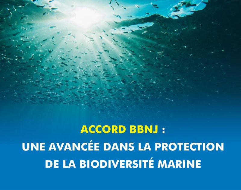 Le Gabon organise un webinaire national sur l’Accord BBNJ et la gouvernance de la haute mer