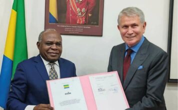 Doubou : la future centrale solaire de 18 MWc, un levier stratégique pour la logistique et les transports au Gabon