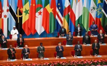 Chine – Afrique : Pékin supprime les droits de douane sur les produits de 53 pays africains, un tournant stratégique