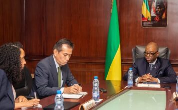 Gabon : vers une nouvelle usine de transformation du manganèse avec le groupe AML