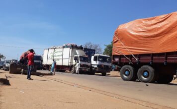 Afrique centrale : le Pro Meet Up 5 met la logistique et les paiements au centre de l’intégration régionale
